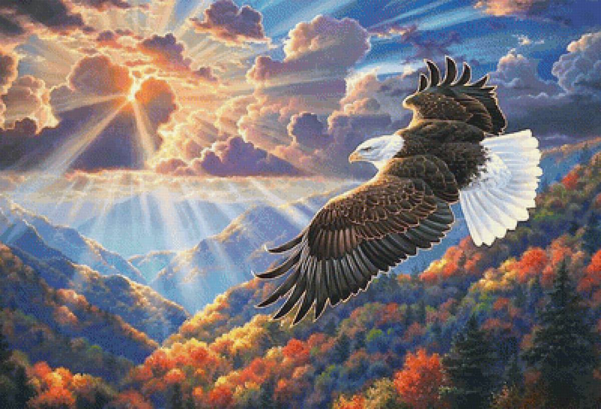 Мир птиц - предпросмотр