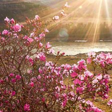 Схема вышивки «Весна»