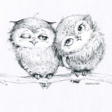 Схема вышивки «Совушки»