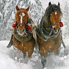 Схема вышивки «Мир животных»