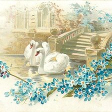 Схема вышивки «labute»