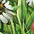 Предпросмотр схемы вышивки «На лугу» (№2013878)