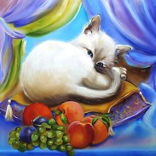 Схема вышивки «Котёнок»