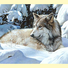 Схема вышивки «Серия "Хищники". Волк»