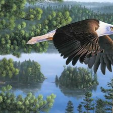 Схема вышивки «№2013998»