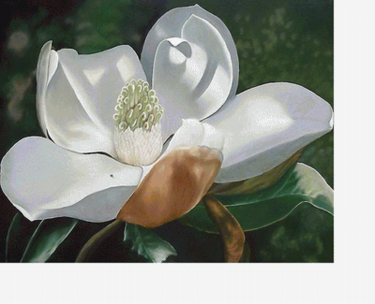 №2014130 - предпросмотр