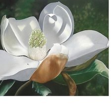 Схема вышивки «№2014130»