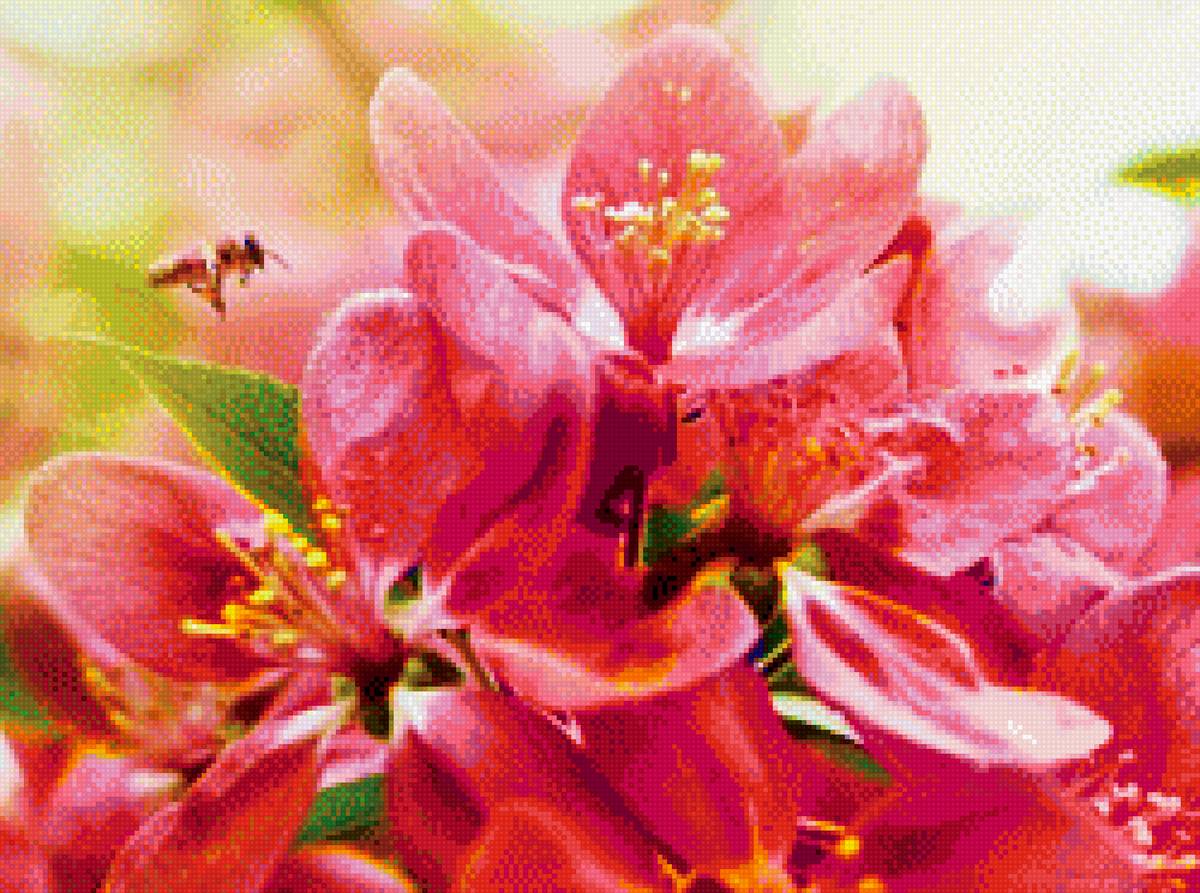 розовые цветы - предпросмотр