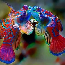 Схема вышивки «Рыбки»