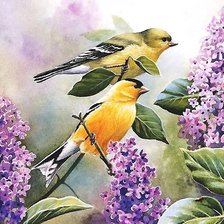 Схема вышивки «№2014297»