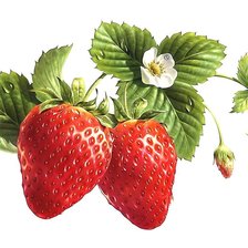 Схема вышивки «№2014376»