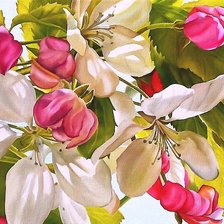 Схема вышивки «№2014467»