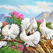 Схема вышивки «Голуби»