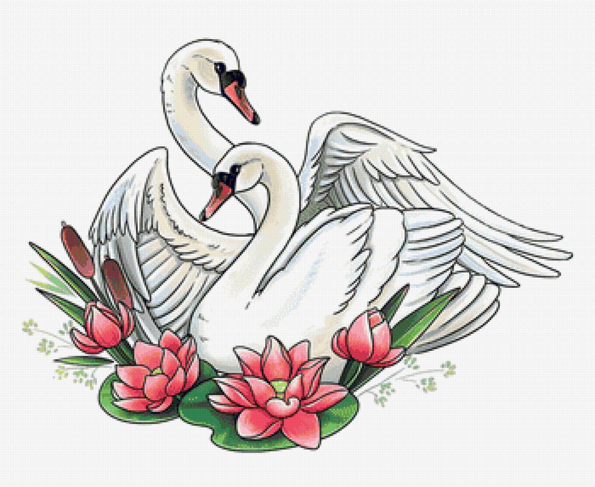 лебеди - лебеди - предпросмотр