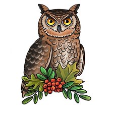 Схема вышивки «сова»