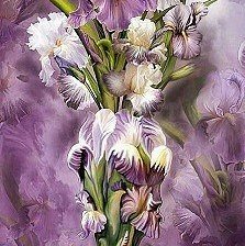 Схема вышивки «ирис»