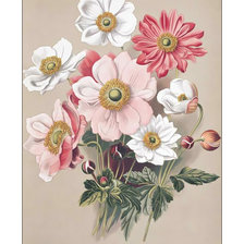 Схема вышивки «Букетик с анемонами.»