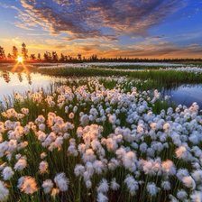 Схема вышивки «№2014882»