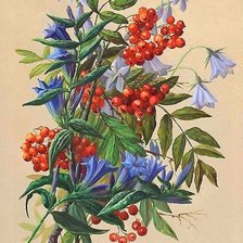 Схема вышивки «букет»