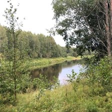 Родимый край