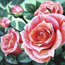 Схема вышивки «розы»