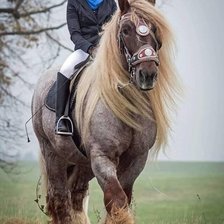 Схема вышивки «№2015120»