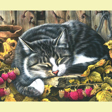 Схема вышивки «Дремлющий котик.»