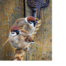 Схема вышивки «Мир птиц»