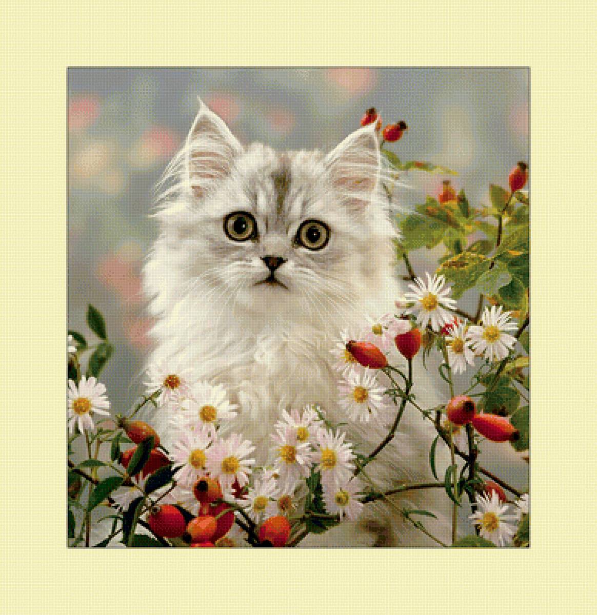 Кошечка. - кошка, животные - предпросмотр