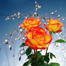 Схема вышивки «роза»