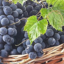 Схема вышивки «Виноград»