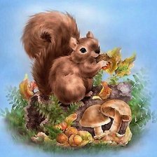 Схема вышивки «белка»