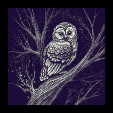 Схема вышивки «Сова»