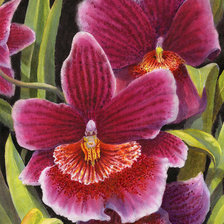 Схема вышивки «мильтон»