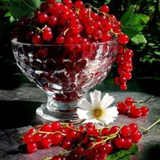 Схема вышивки «№2016039»