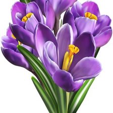 Схема вышивки «№2016040»