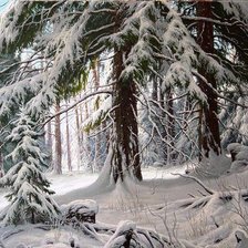 Схема вышивки «Арт»