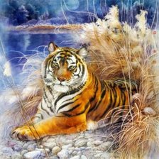 Схема вышивки «дикие»