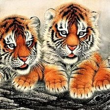 Схема вышивки «дикие»