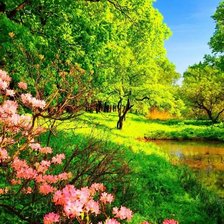 Схема вышивки «№2016179»