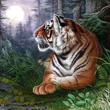 Схема вышивки «дикие»