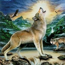 Схема вышивки «дикие»