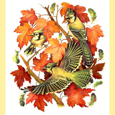 Схема вышивки «Серия "Птицы"»