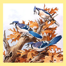 Схема вышивки «Серия "Птицы"»