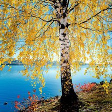 Схема вышивки «пейзаж»