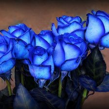 Схема вышивки «Букет голуых роз»