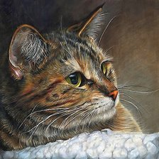 Схема вышивки «№2016657»