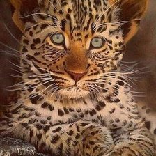 Схема вышивки «дикие»