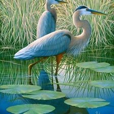 Схема вышивки «Цапли»