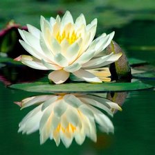 Схема вышивки «Отраженме»